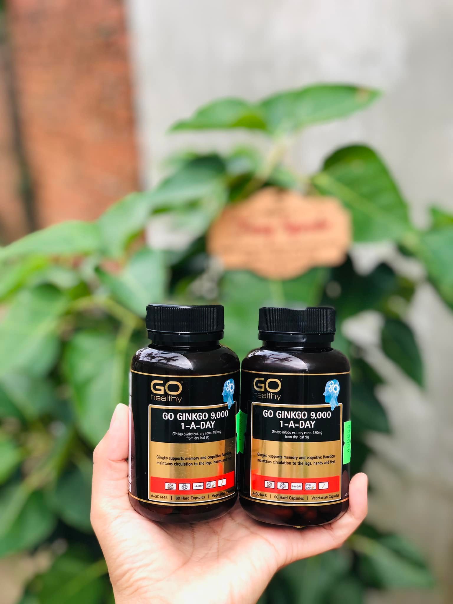 277663321-2509767532486649-1771663938319198795-n Viên uống bổ não Go Ginkgo 9000 Go Healthy hộp 60 viên