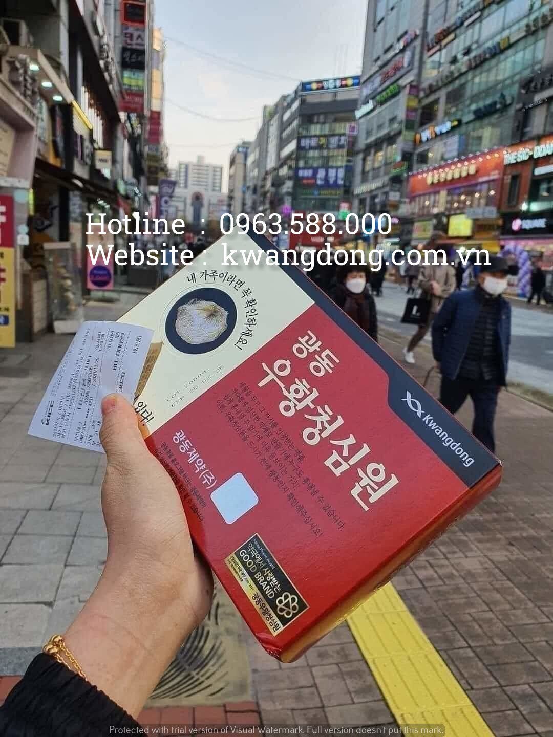 An cung tổ kén Kwangdong hộp 10 viên mẫu cũ và mới