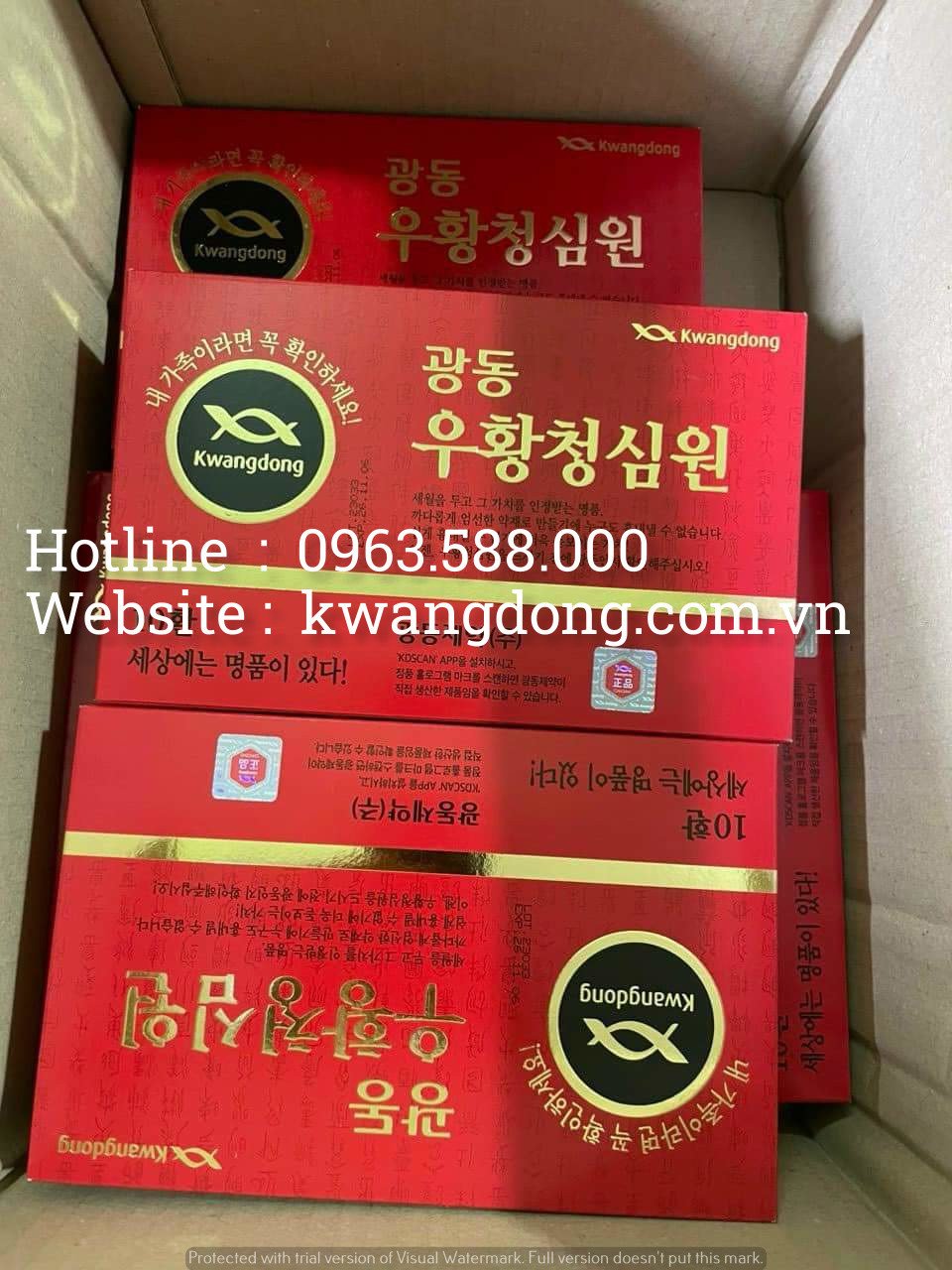 An cung tổ kén Kwangdong hộp 10 viên mẫu mới