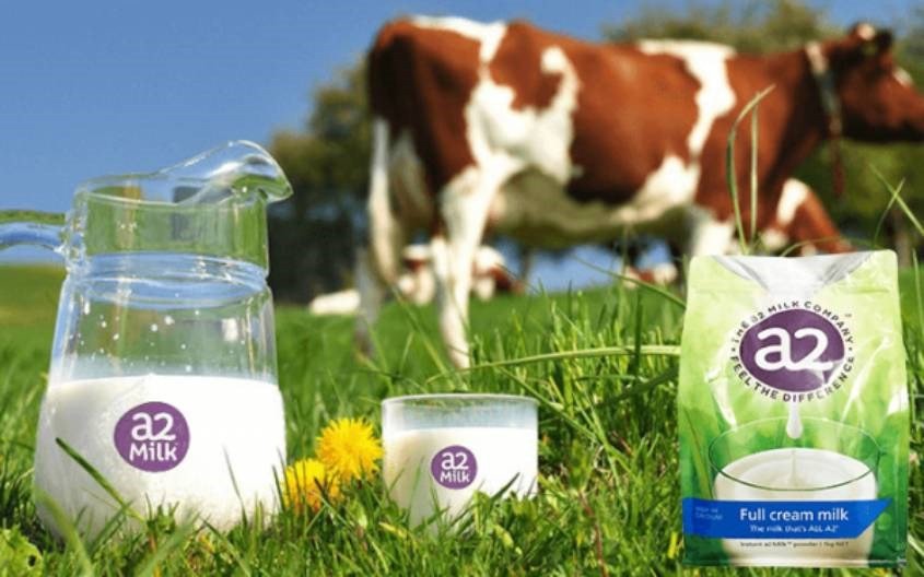 Bảo quản sữa A2 đúng cách sau khi mở nắp