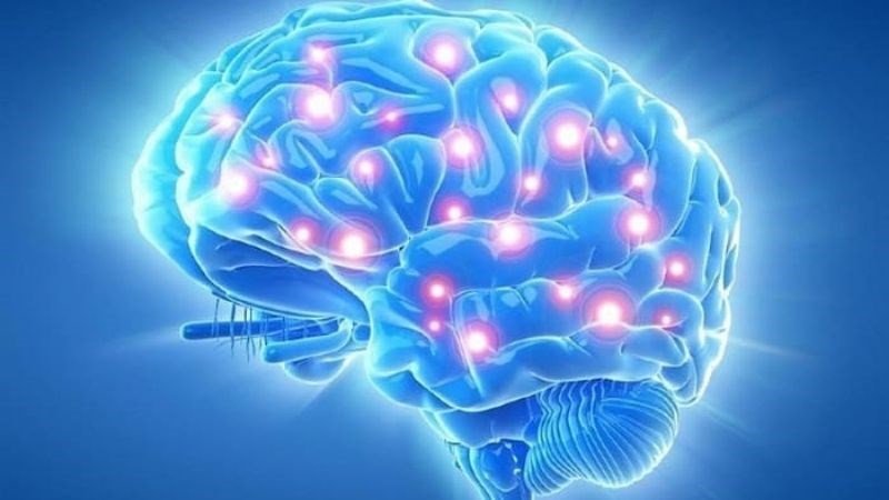 Cha mẹ lựa chọn sản phẩm hỗ trợ não bộ chuyên biệt dành cho trẻ em