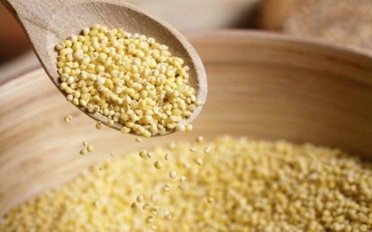 Hạt kê chứa nhiều chất dinh dưỡng tốt cho não bộ
