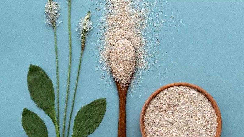 Hạt mã đề (Plantago ovata) là nguồn gốc của vỏ hạt psyllium husk, một loại chất xơ hòa tan tự nhiên.