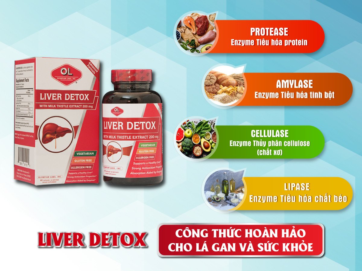 Hệ enzyme đặc biệt hỗ trợ tiêu hóa và chức năng gan