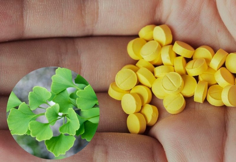 Hộp viên uống Ginkgo Biloba 6000mg hỗ trợ tăng cường tuần hoàn máu não và trí nhớ