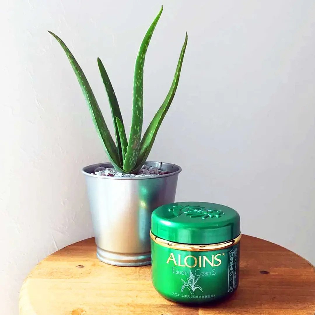 Hướng dẫn sử dụng kem dưỡng lô hội Nhật Aloins cho hiệu quả tối ưu