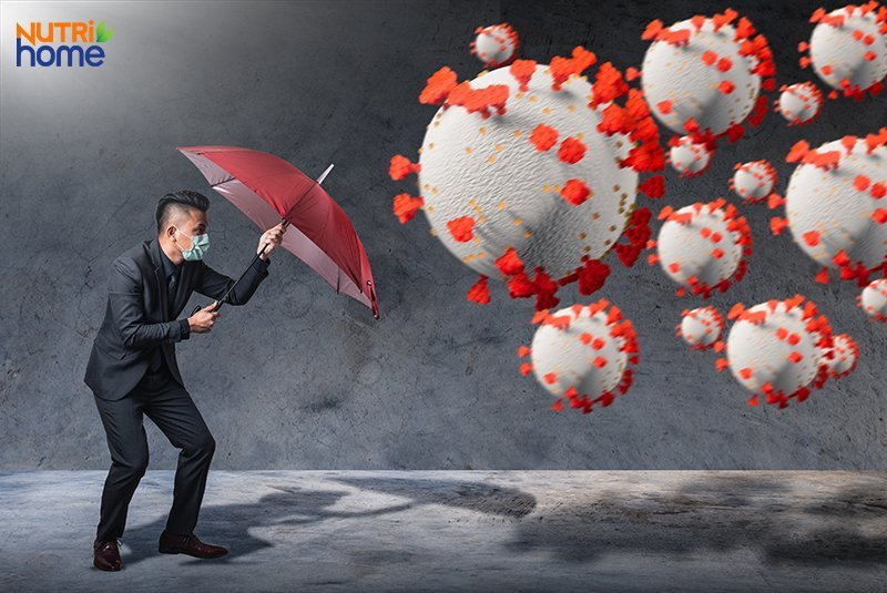 Kẽm có tác dụng gì đối với sức khỏe?