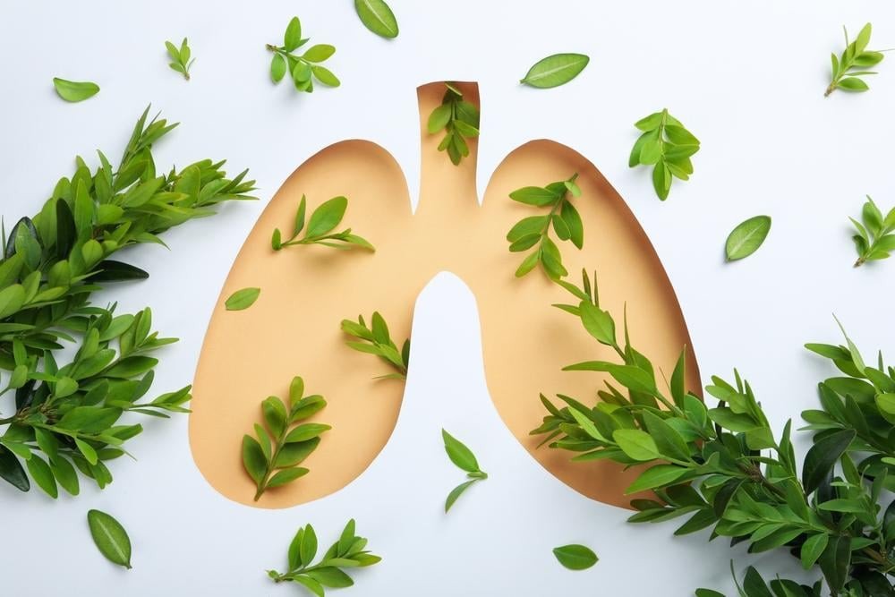Lá phổi khỏe mạnh được bảo vệ từ các loại thuốc bổ phổi