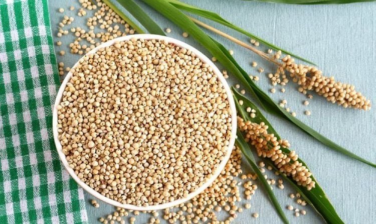Ngũ cốc lúa mạch chế biến thành các món ăn ngon