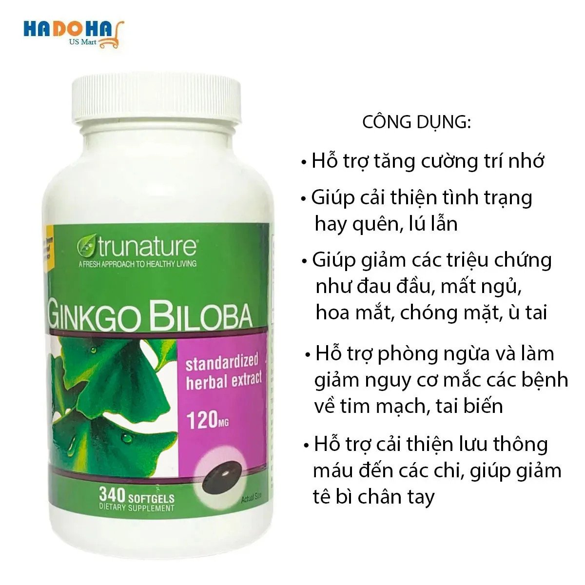 Người cao tuổi đọc sách với thuốc bổ não Ginkgo Biloba của Mỹ