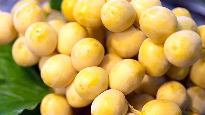 Quả chà là tươi mọng nước với lớp vỏ nâu vàng đặc trưng
