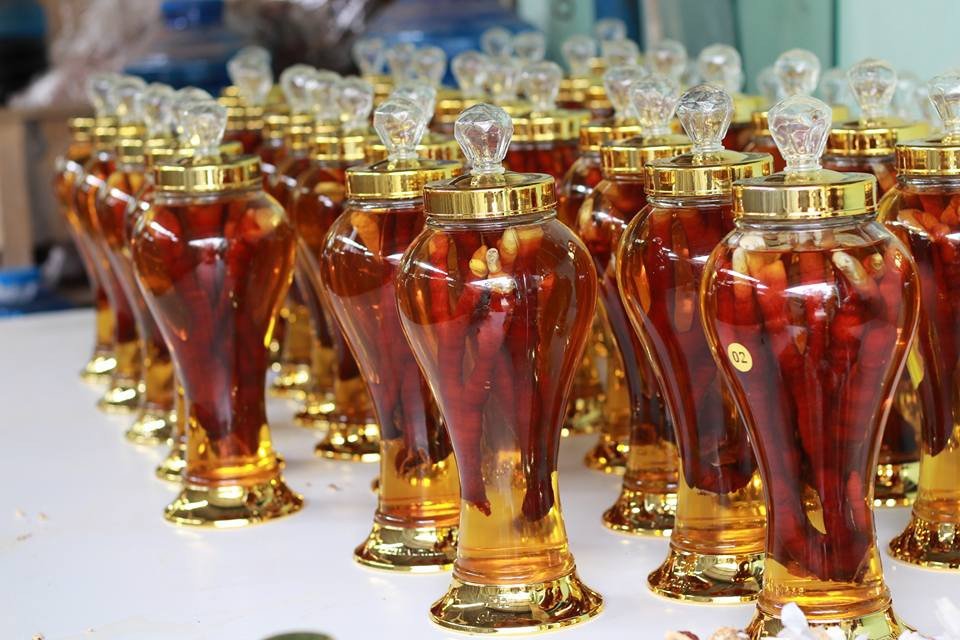Rượu nấm linh chi sừng hươu Hàn Quốc chất lượng