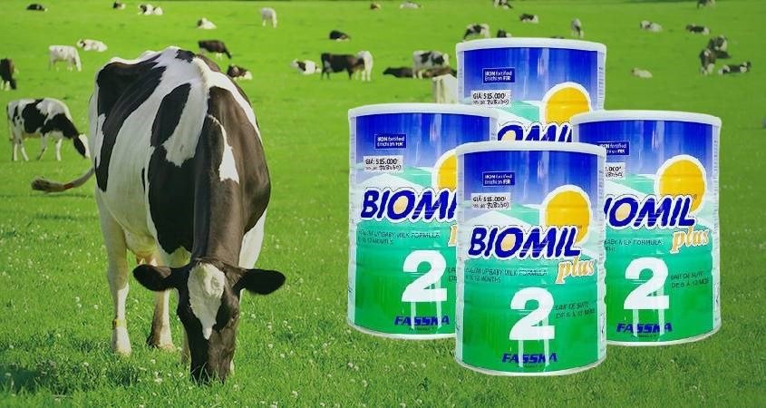Sữa Biomil số 2 cho bé 6-12 tháng
