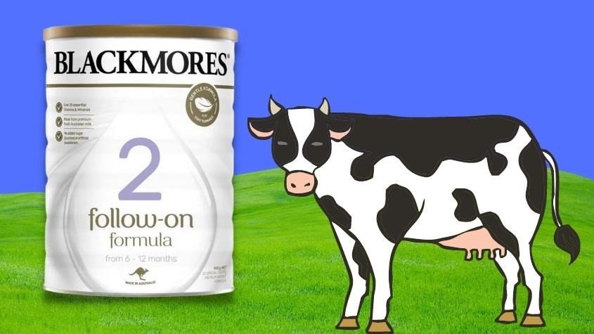 Sữa bột Blackmores số 2 Follow-on Formula dành cho bé 6-12 tháng tuổi