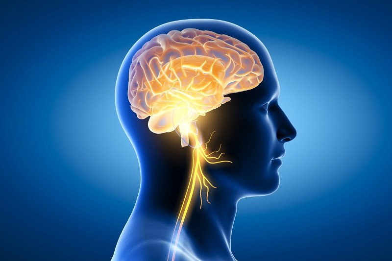 Tầm quan trọng của kẽm đối với trí tuệ và sự phát triển tư duy của trẻ