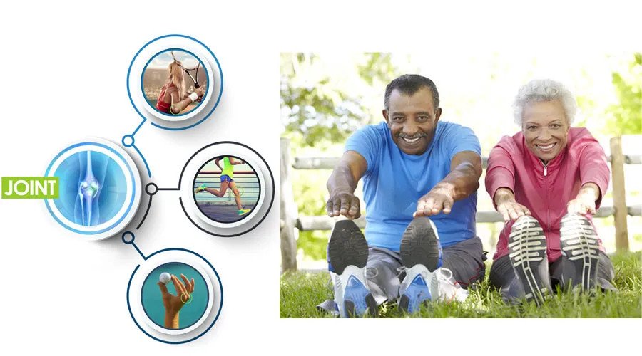 Thành phần và đặc tính của Glucosamine HCL 1500mg và MSM trong viên uống hỗ trợ khớp