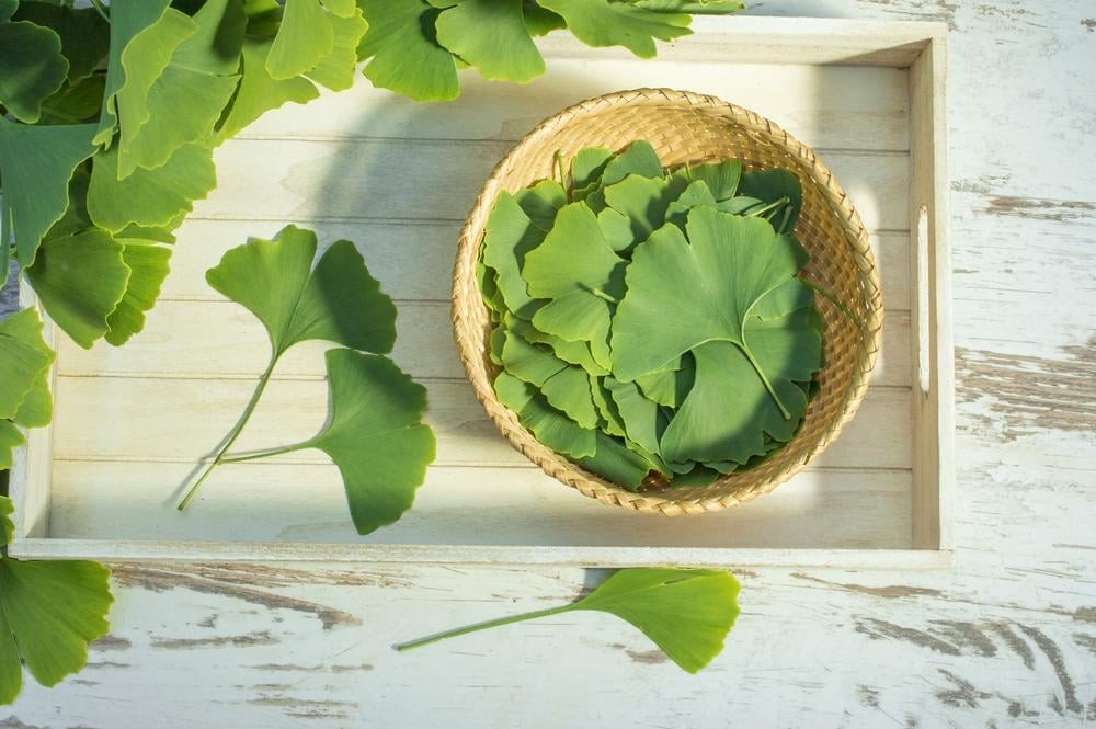 Thông tin chi tiết về thành phần Ginkgo Biloba 2000 Úc và hàm lượng chiết xuất bạch quả có trong mỗi viên uống bổ não Healthy Care.