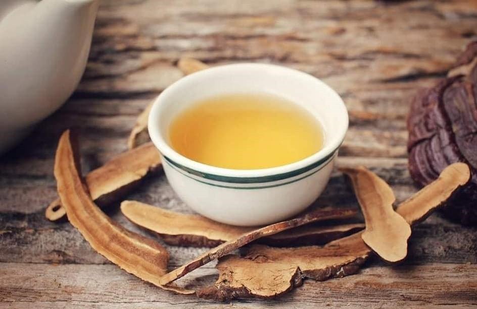 Trà nấm linh chi Hàn Quốc bồi bổ sức khỏe