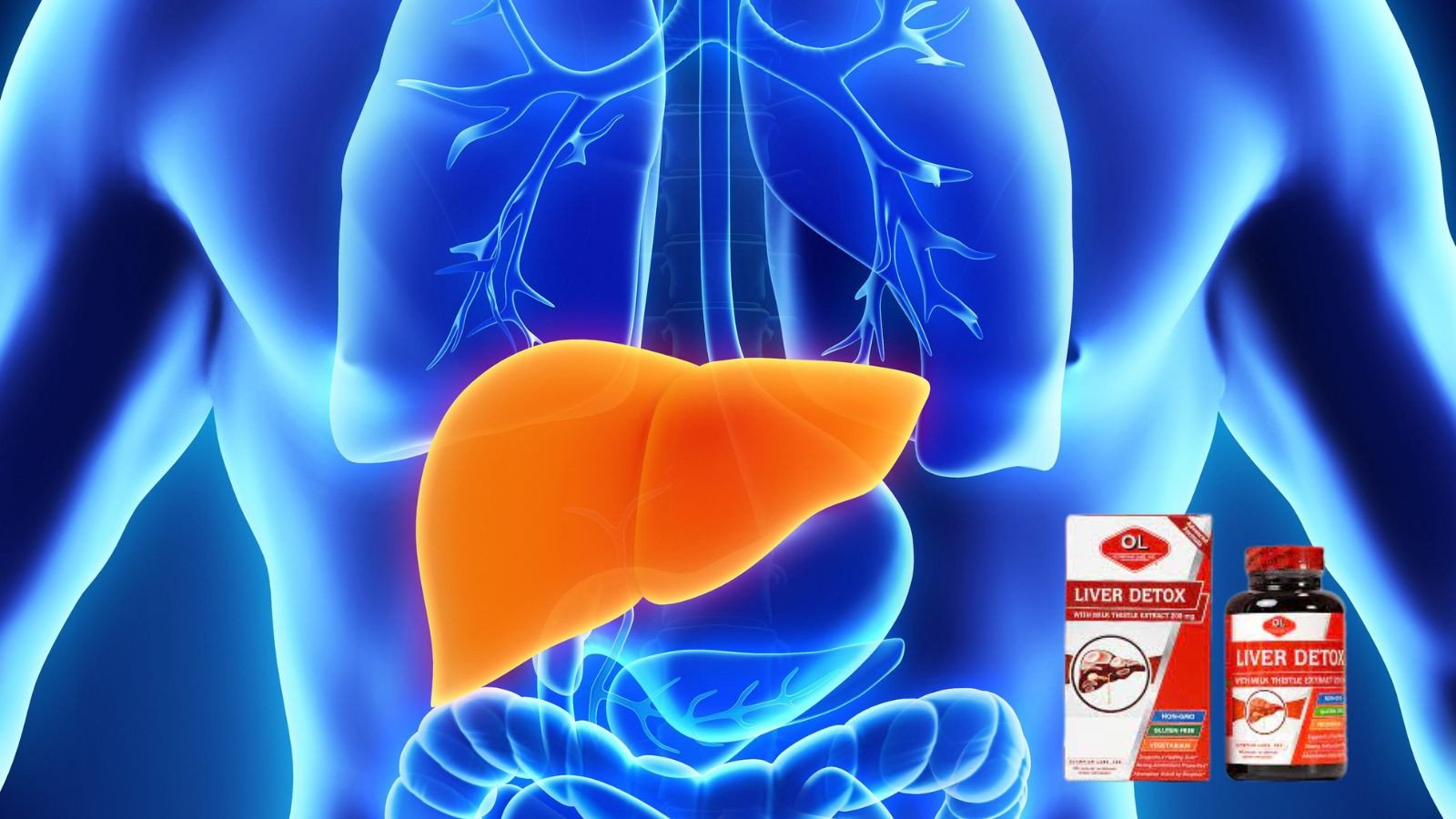 Viên uống bổ gan Liver Detox của Mỹ mang lại hiệu quả cải thiện chức năng gan