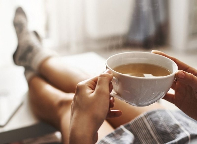 Bảng thành phần dinh dưỡng đa dạng của nấm Chaga