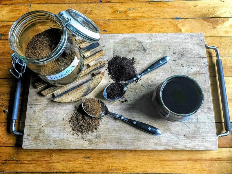 Bảo quản nấm Chaga đúng cách để giữ nguyên dược tính