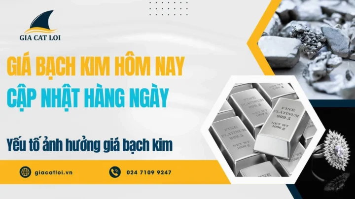 Giá Bạch Kim Hôm Nay Bao Nhiêu 1 Gam? Cập Nhật 2026 Bảng giá bạch kim hôm nay