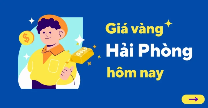 Biểu đồ biến động giá vàng tại Hải Phòng