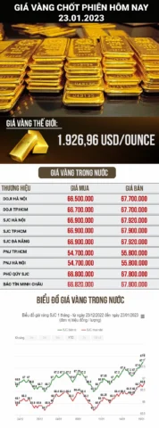 Biểu đồ giá vàng hôm nay