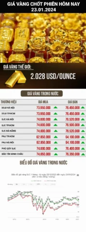 Biểu đồ giá vàng hôm nay