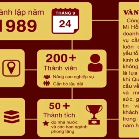 Biểu đồ giá vàng SJC Mi Hồng năm 2026