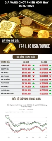 Biểu đồ giá vàng SJC trong nước