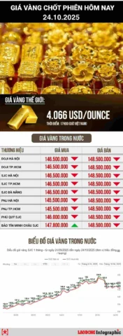 Biểu đồ giá vàng tăng trưởng
