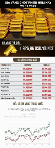 Biểu đồ giá vàng tổng quan
