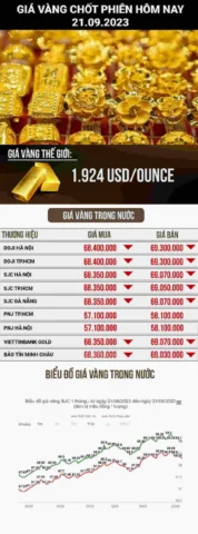 Biểu đồ phân tích xu hướng giá vàng
