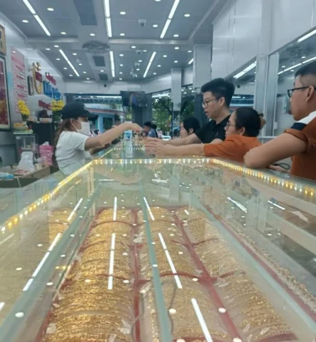 Biểu đồ so sánh giá vàng các thương hiệu