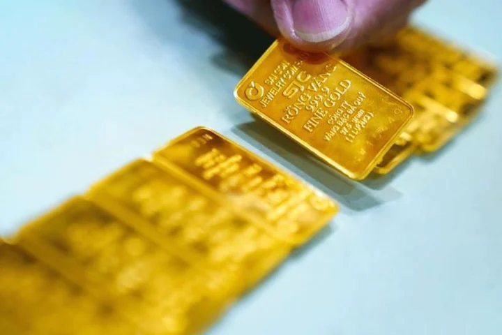 Giá 10 cây vàng hôm nay bao nhiêu tiền