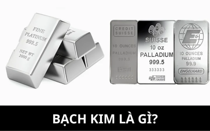 gia-bach-kim-bao-nhieu-1-chi-cap-nhat-moi-nhat-2026_458