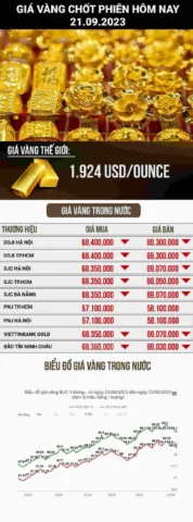 Người đầu tư xem biểu đồ giá vàng