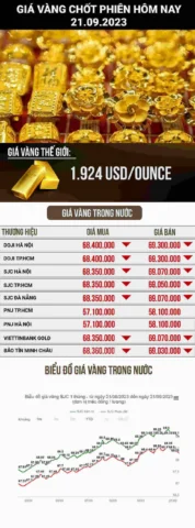Người phụ nữ xem xét giá vàng