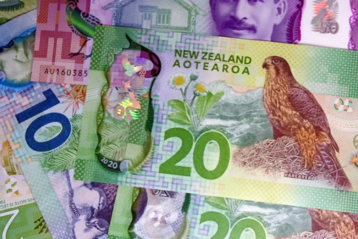 Đô la New Zealand quy đổi sang tiền Việt Nam
