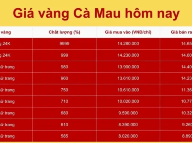 Phân tích dự báo giá vàng Hội Kim Hoàn Cà Mau 2026